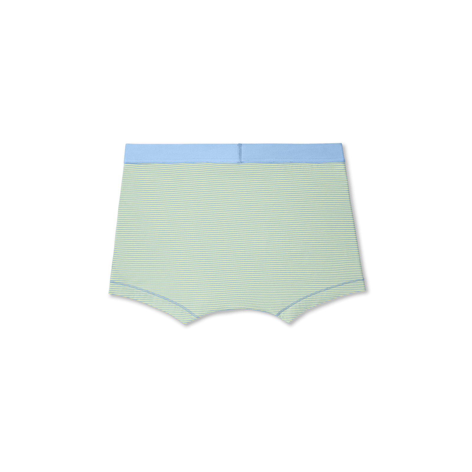 Pride All Gendered Trunk sail-blue-lemoncello-micro-stripe-layflat-3-transparent