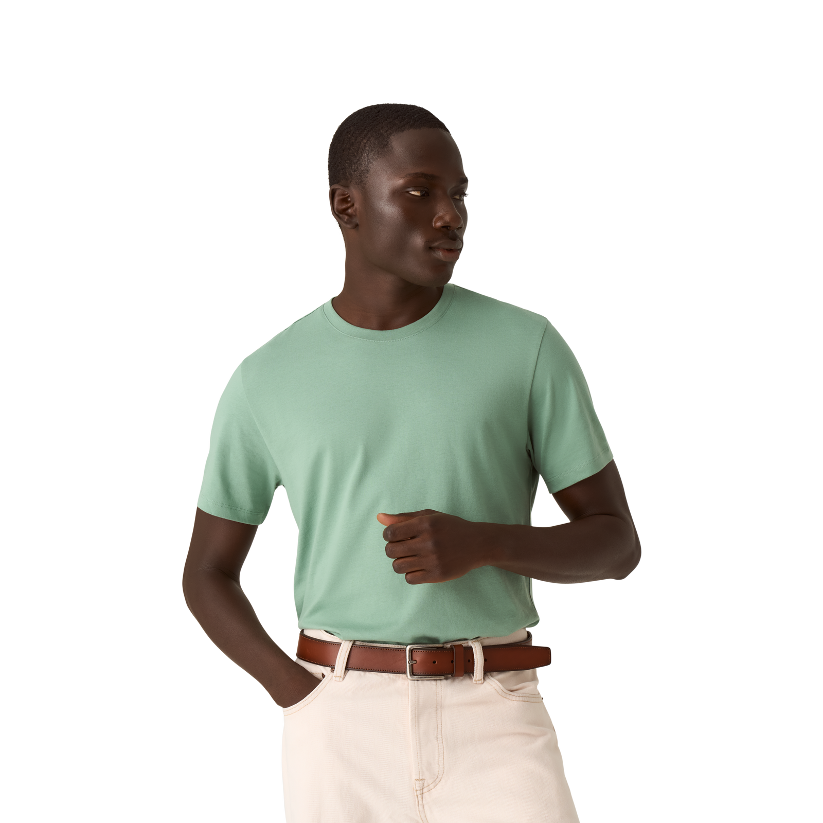 Men's Pima Cotton Crew Neck T-Shirt - easy sage MO1 [8525]